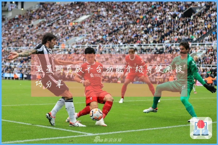 亚星网页版平台功能介绍与使用技巧分享