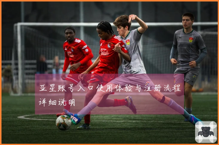 亚星账号入口使用体验与注册流程详细说明