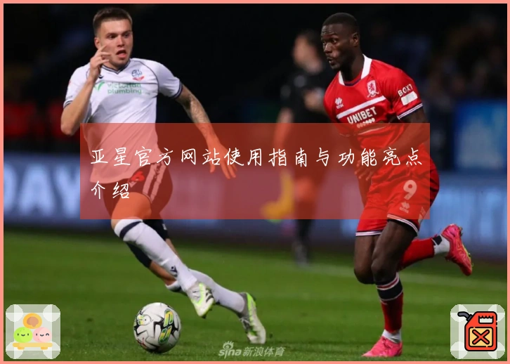 亚星官方网站使用指南与功能亮点介绍